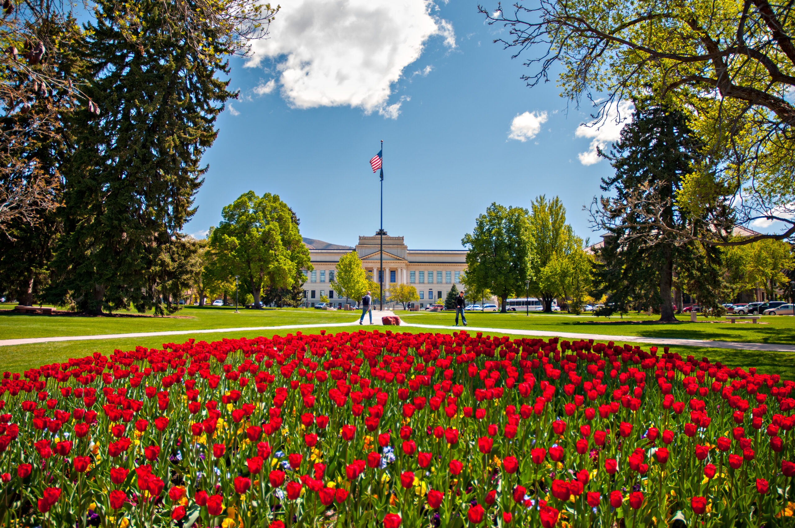 Park building spring