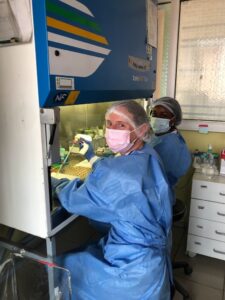 Global Health - Cameroon